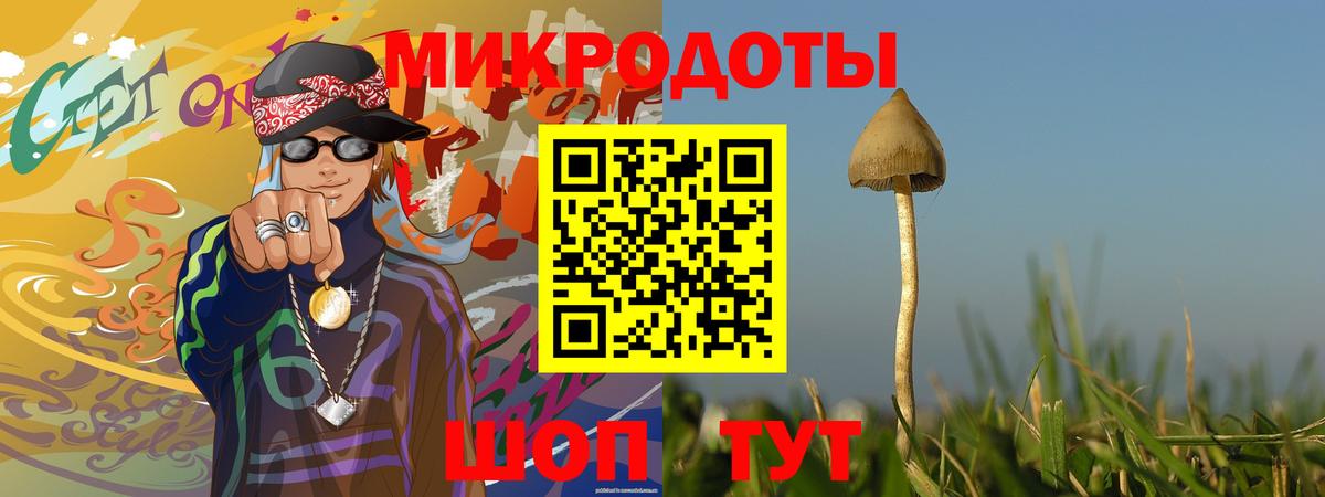 Марихуана  ГАШ  Вход с VPN  MDMA  Экстази  Купить наркоту  Мефедрон кристаллы  Заводоуковск  Метамфетамин  ГАШ 